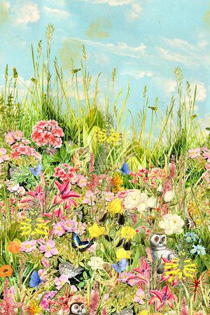 时尚印花华亿平台图片