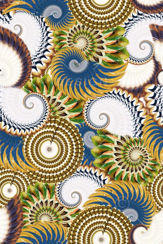 大牌秋冬秋冬装外套印花华亿平台图片