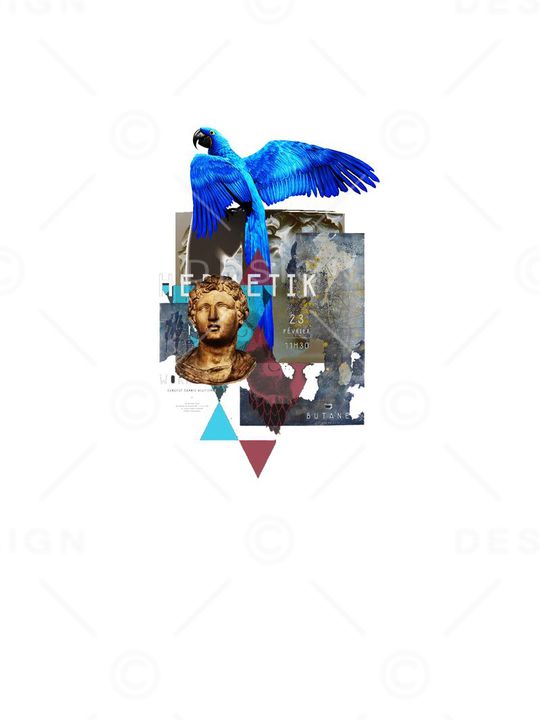 动物印花华亿平台图片