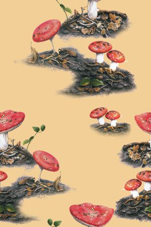 植物印花华亿平台图片