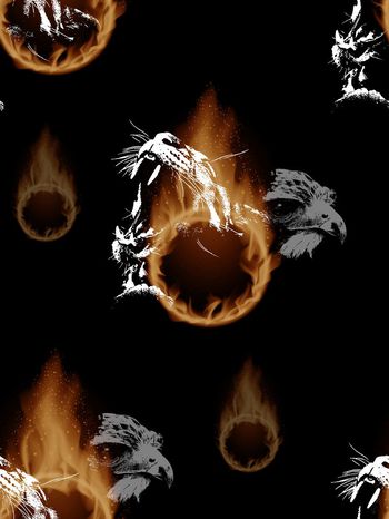 552743-抽象火焰球老虎老鹰动物男装图案