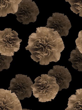 552805-时尚潮流花卉男装卫衣羽绒服图案