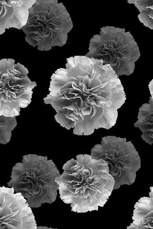 时尚潮流印花华亿平台图片