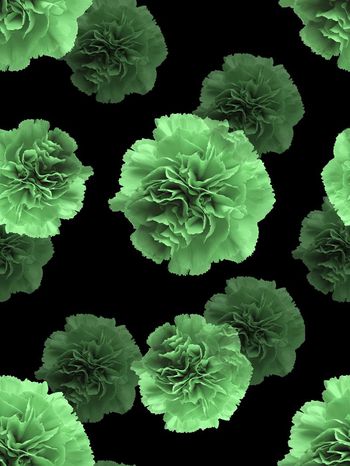 552808-时尚潮流花卉男装卫衣羽绒服图案