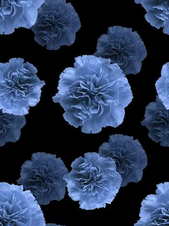 552809-时尚潮流花卉男装卫衣羽绒服图案