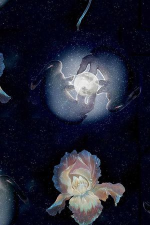 花朵印花华亿平台图片