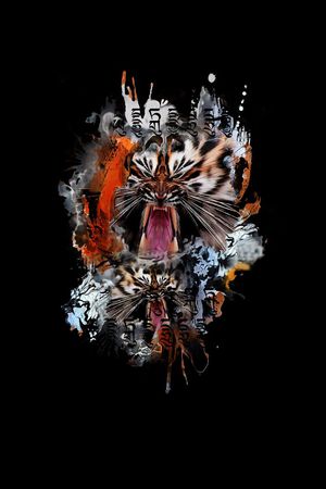 Just cavalli印花华亿平台图片