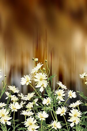 定位印花华亿平台图片