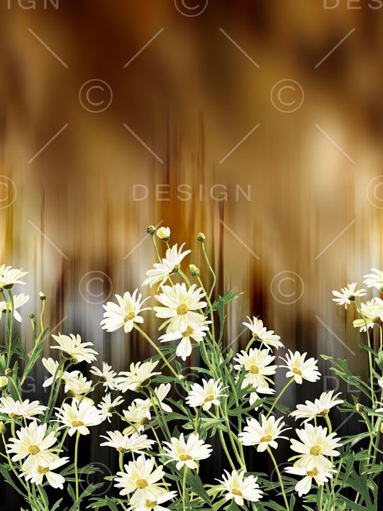 定位印花华亿平台图片