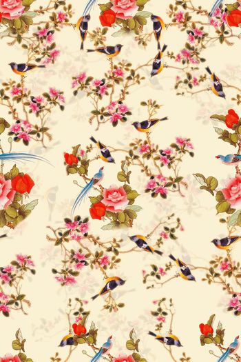 553019-中国风 工笔花鸟图