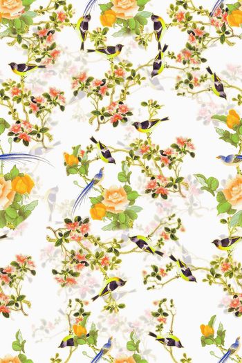 553020-中国风 工笔花鸟图