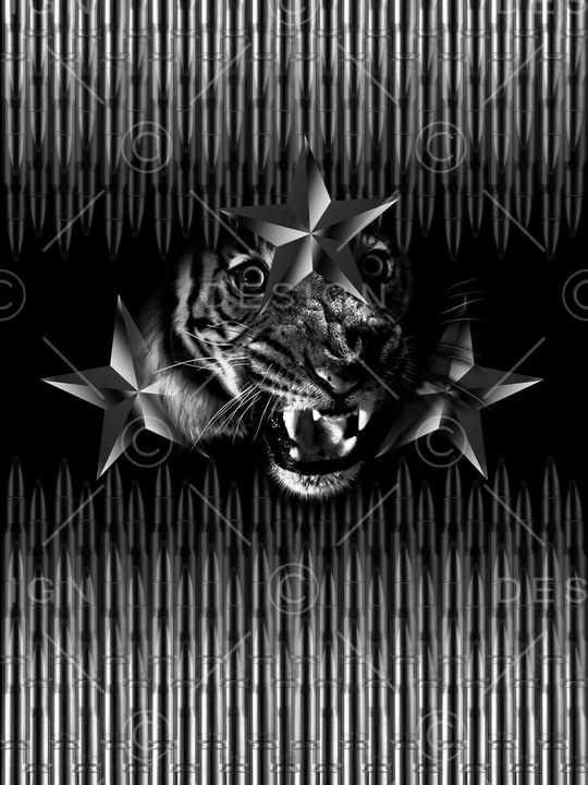 潮牌印花华亿平台图片