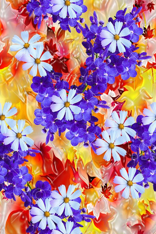 时尚女装大气印花华亿平台图片