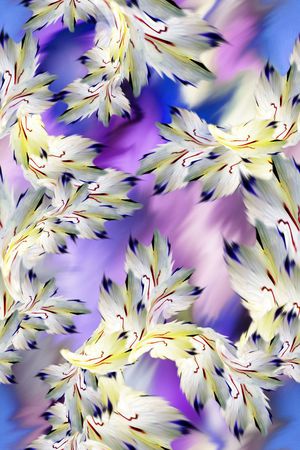 抽象大气女装印花华亿平台图片