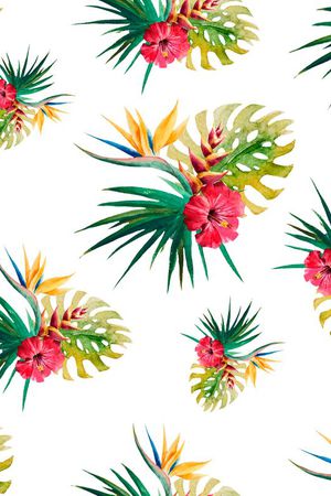 芭蕉印花华亿平台图片