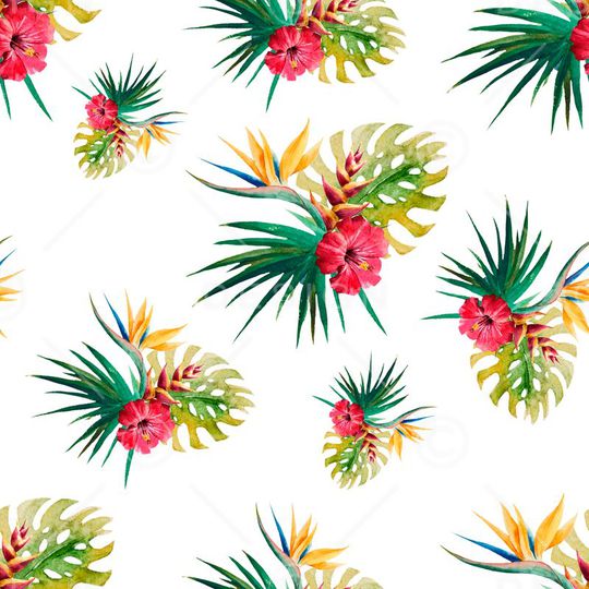 芭蕉印花华亿平台图片