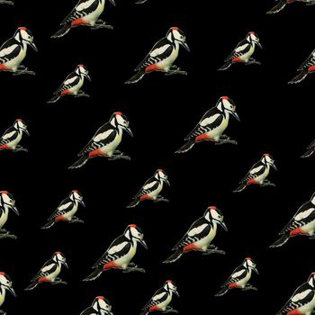 553286-时尚黑底手绘鸟类