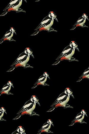 时尚印花华亿平台图片