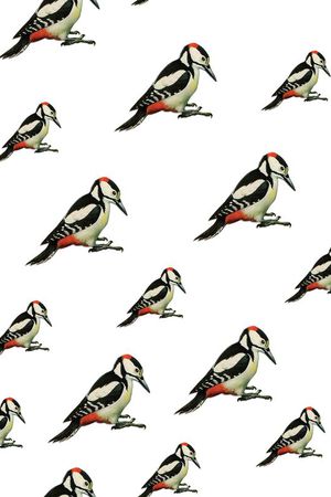 时尚印花华亿平台图片