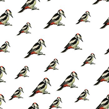 553287-时尚黑底手绘鸟类