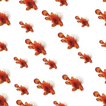 553289-时尚黑底手绘鱼类