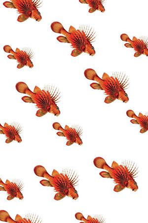 时尚印花华亿平台图片