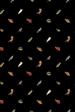 男装印花华亿平台图片