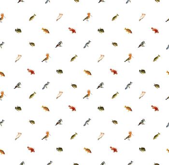 553293-时尚男装超小动物印花