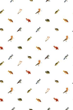 时尚印花华亿平台图片