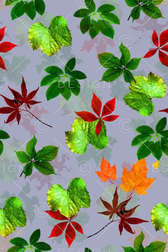 叶子印花华亿平台图片