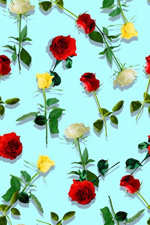 纯色底印花华亿平台图片