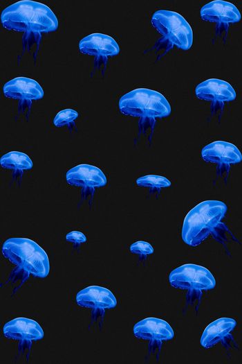 韩版印花华亿平台图片