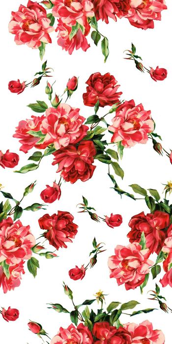 553456-时尚 水彩 花卉 玫瑰花 女装 数