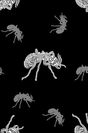 时尚潮流印花华亿平台图片