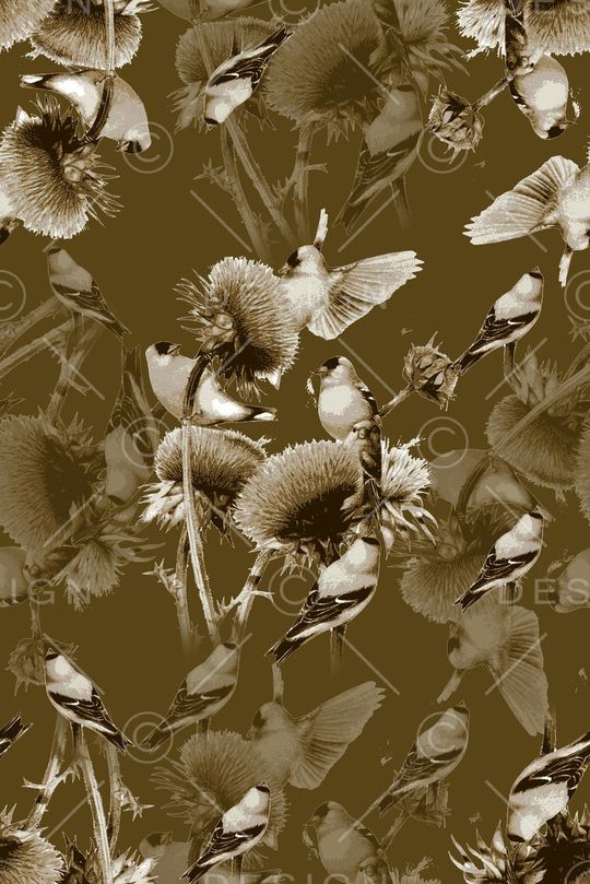 抽象男装图案印花华亿平台图片