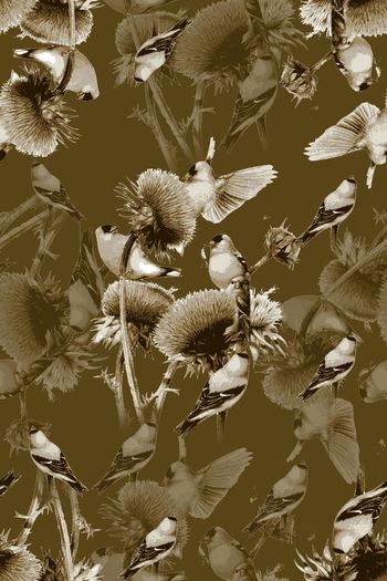 553789-抽象手绘花鸟男装图案