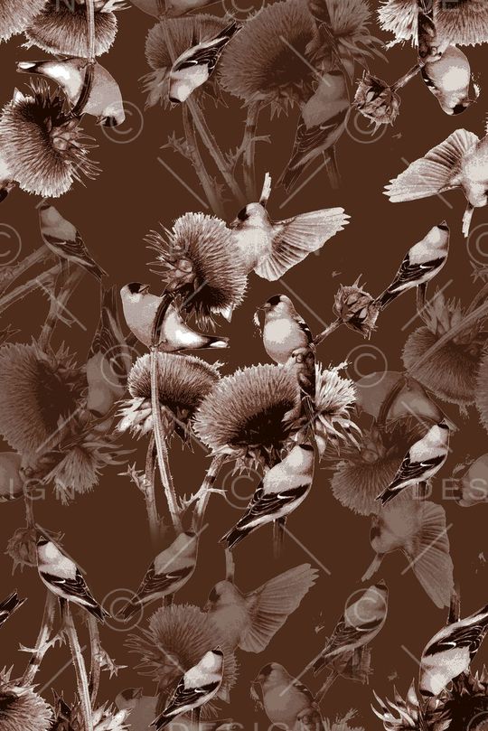 抽象男装图案印花华亿平台图片