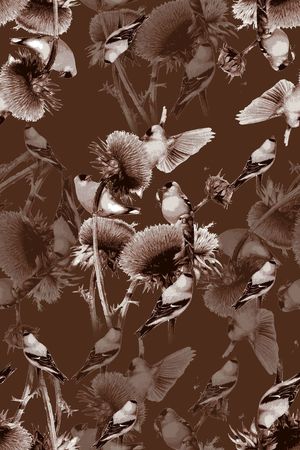 抽象男装图案印花华亿平台图片