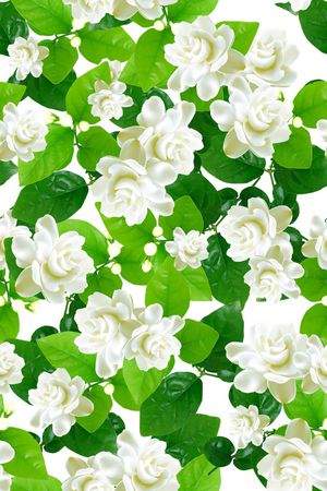 流行时尚印花华亿平台图片