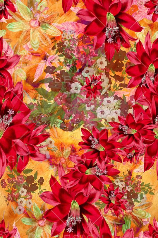 欧美时尚印花华亿平台图片