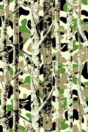 树干印花华亿平台图片