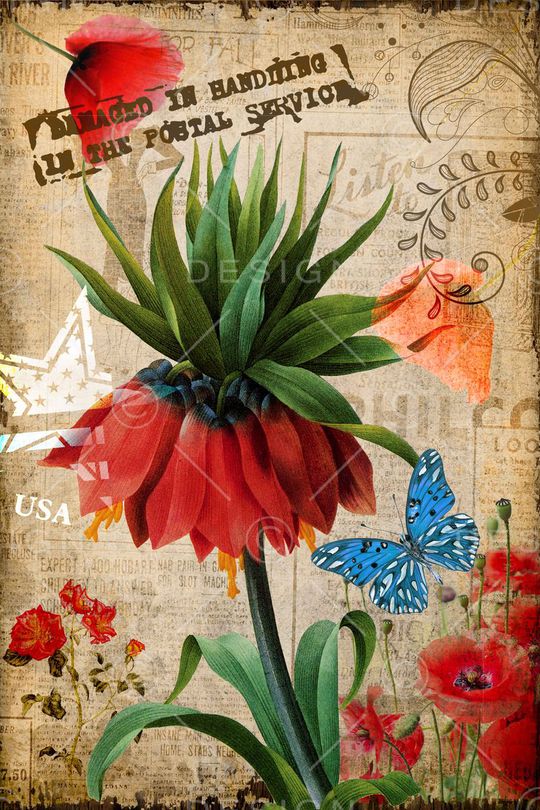 半身裙印花华亿平台图片