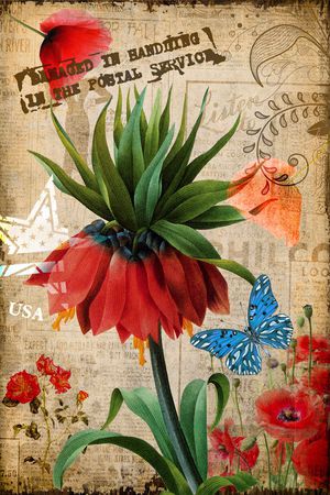 半身裙印花华亿平台图片