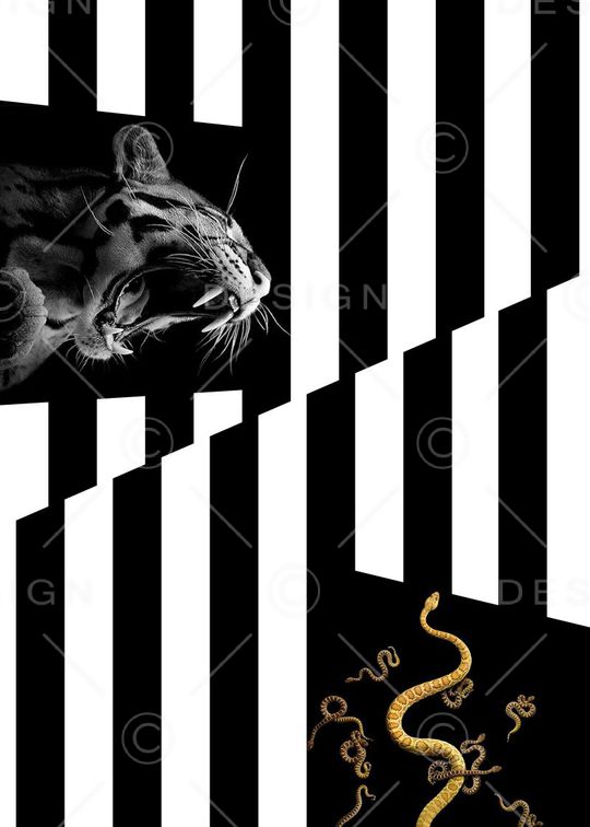 抽象男装图案印花华亿平台图片