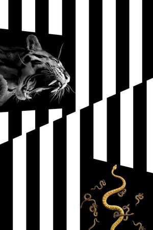 抽象男装图案印花华亿平台图片