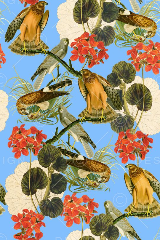 潮流时尚大牌印花华亿平台图片