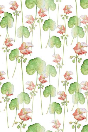 荷花印花华亿平台图片