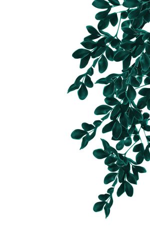 定位印花华亿平台图片