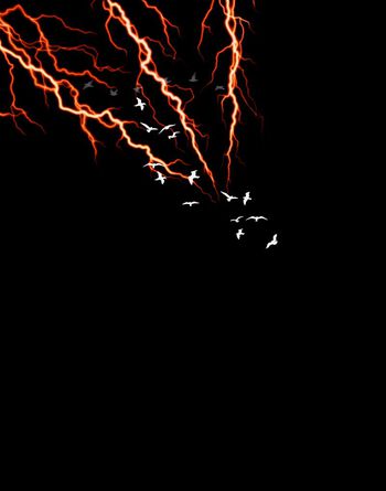 554230-抽象闪电纹理飞鸟男装图案