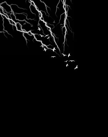 554234-抽象闪电纹理飞鸟男装图案